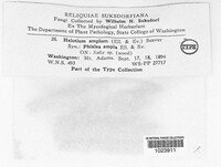 Image Associated With the Occurence